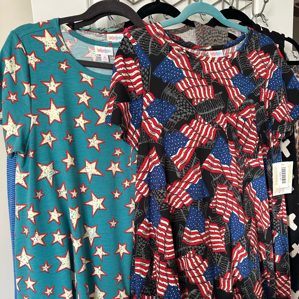 2 bnwt Medium Americana Carly dresses